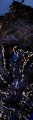 Thumbnail for version as of 12:14, 1 December 2010