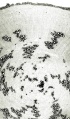 Thumbnail for version as of 14:51, 20 February 2011
