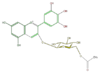 FL7AAGGL0015.png