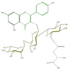FL5FAAGL0109.png