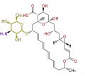Thumbnail for version as of 16:01, 26 March 2010