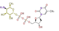 Thumbnail for version as of 16:36, 19 June 2009