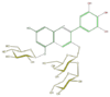 FL7AAGGA0016.png