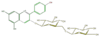 FL7AAAGL0005.png