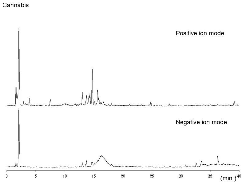 File:Cannabis LC-MS.jpg