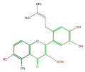 Thumbnail for version as of 17:02, 1 February 2008