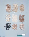 Thumbnail for version as of 09:51, 26 January 2010