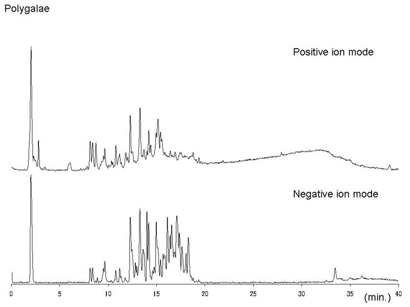 File:Polygalae LC-MS.jpg