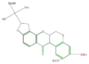FLIF1LNF0009.png