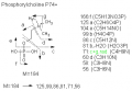 Thumbnail for version as of 14:11, 1 June 2011