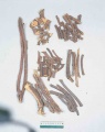 Thumbnail for version as of 14:54, 25 January 2010