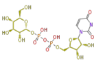 PR100617.png