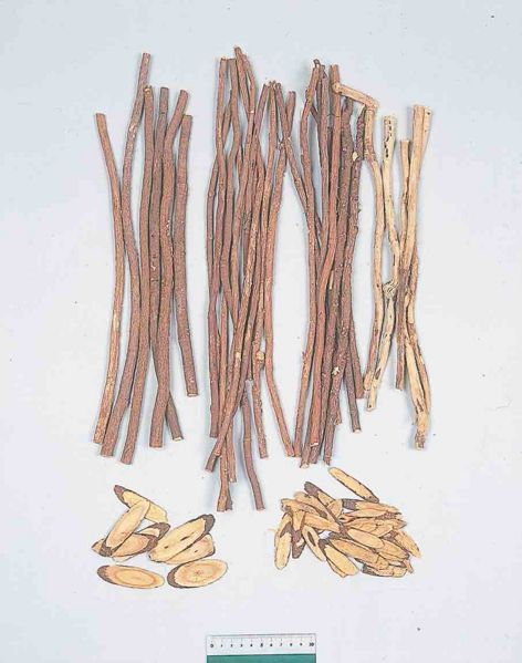 File:Alps:Glycyrrhizae Radix3.jpg