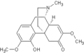 Thumbnail for version as of 11:13, 21 December 2009