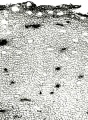 Thumbnail for version as of 22:05, 10 November 2010