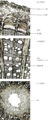 Thumbnail for version as of 16:23, 2 December 2010