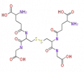 Thumbnail for version as of 10:26, 23 December 2009