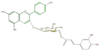 FL7AAAGL0018.png