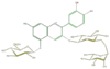 FL7AACGL0019.png
