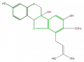 Thumbnail for version as of 17:01, 1 February 2008