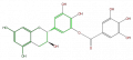Thumbnail for version as of 17:02, 1 February 2008