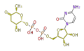 Thumbnail for version as of 16:35, 19 June 2009