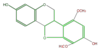 FLID1LNS0001.png