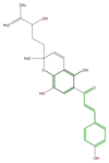 FL1C2ANP0003.png