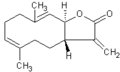 Thumbnail for version as of 17:55, 14 December 2009
