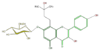 FL5FAAGI0015.png