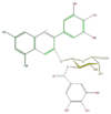 FL7AAGGA0006.png
