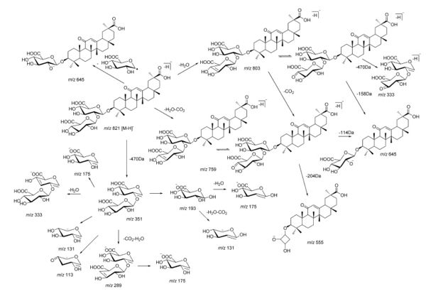 Glycyrrhizin fragment.jpg