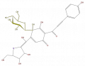 Thumbnail for version as of 17:01, 1 February 2008