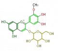 Thumbnail for version as of 16:44, 14 January 2011