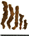 Thumbnail for version as of 22:06, 10 November 2010