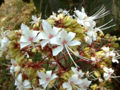 BG-cle01212.jpg