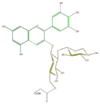 FL7AAGGL0029.png