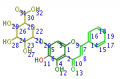 Thumbnail for version as of 13:24, 9 December 2009