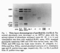 GSG1013CH0001.gif