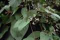 BG-pae01292.jpg