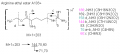 Thumbnail for version as of 14:11, 1 June 2011