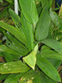 BG-mar01351.jpg
