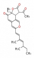 Thumbnail for version as of 16:53, 26 March 2010