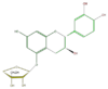 FL63ACGS0009.png