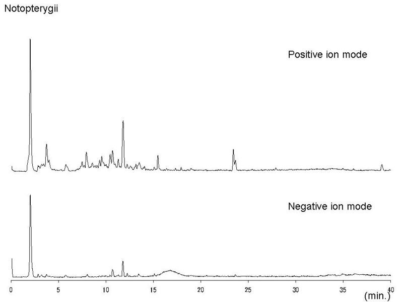 File:Notopterygii LC-MS.jpg
