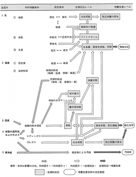 File:Plantbiotech-Higuchi-02-008.png