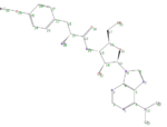 KOX00526.png