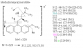 Thumbnail for version as of 14:11, 1 June 2011