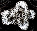 Thumbnail for version as of 12:14, 1 December 2010