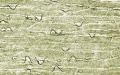 Thumbnail for version as of 12:14, 1 December 2010